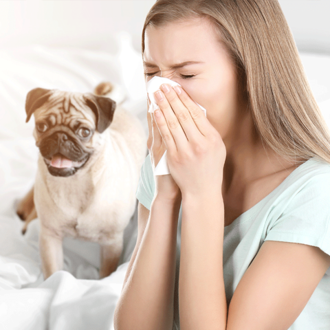 Allergien