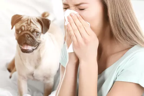 Allergien