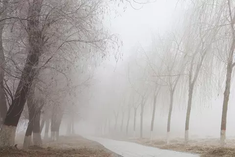 Depression