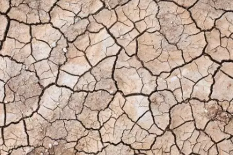 Psoriasis – Schuppenflechte