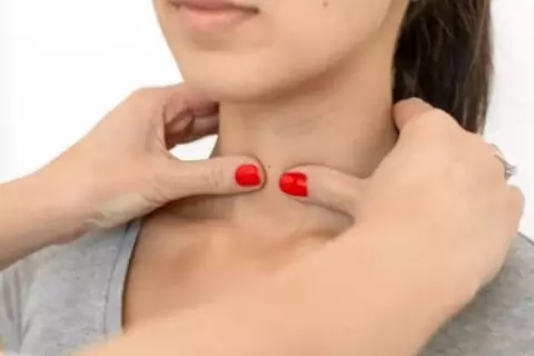 Schilddrüse