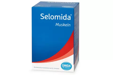 Selomida Muskeln