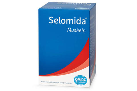 Selomida Muskeln