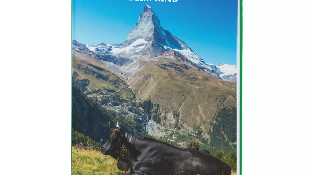 Handbuch Konstitutionstypen beim Rind | OMIDA